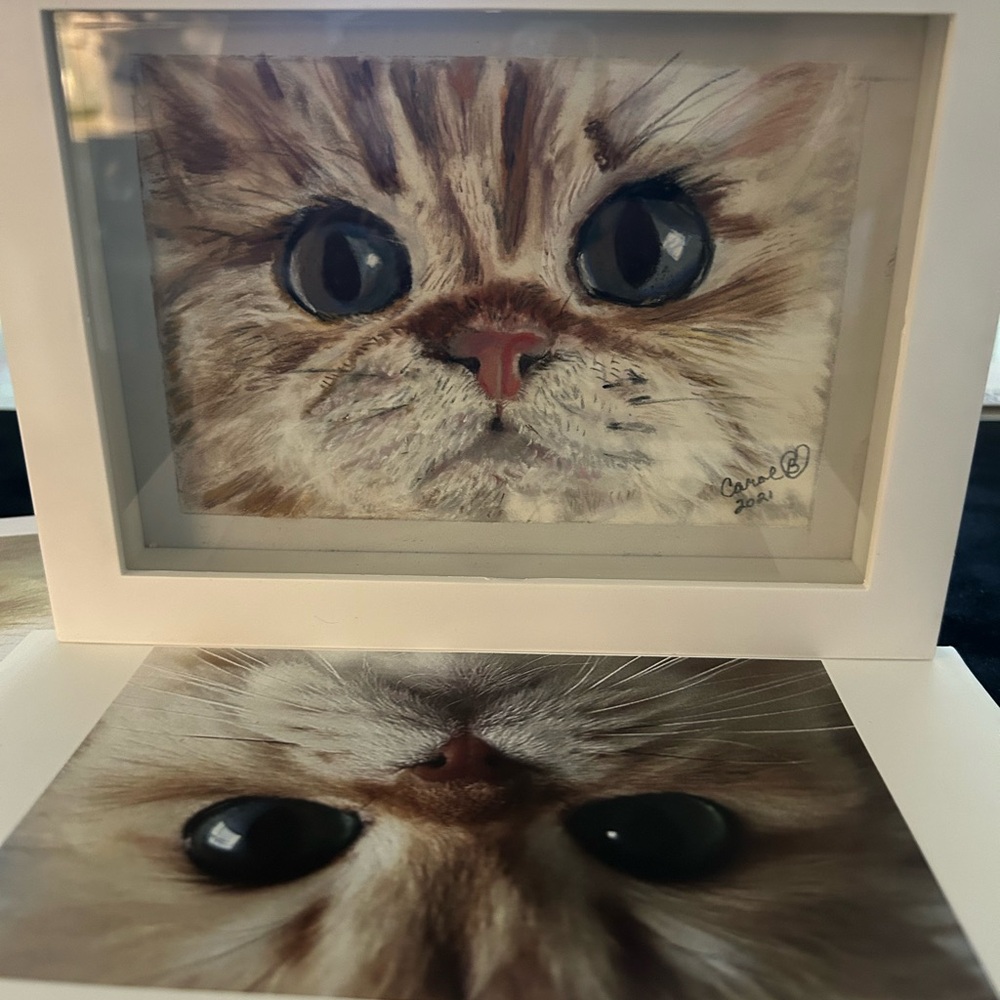 White and Brown Cat Painting Art